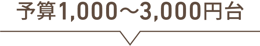 1000円台